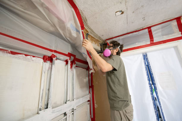 Best Dehumidification Services  in Chesaning, MI