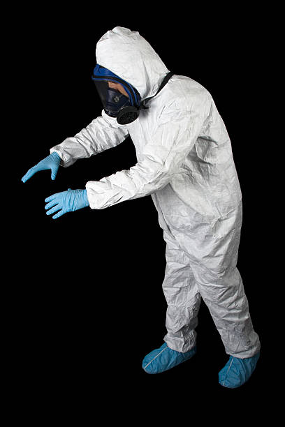 Best Water Damage & Mold Remediation  in Chesaning, MI